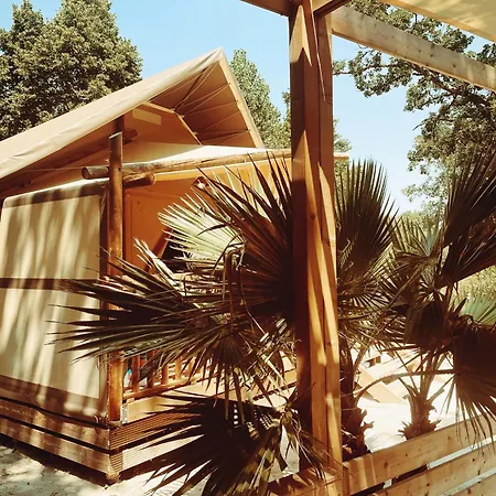 Sunelia L'argentiere