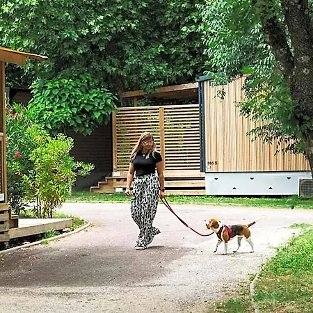 Sunelia L'argentiere Cogolin