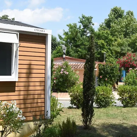 Sunelia L'argentiere